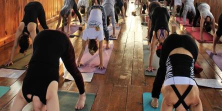 Yoga Teacher Training in Rishikesh India 