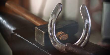 5 Things You Most Likely Didn't Know About Farrier Equipment