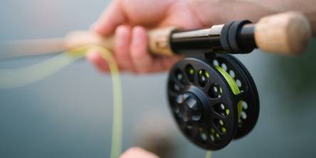 Fishing Guide 101: Basic fishing equipment for beginners