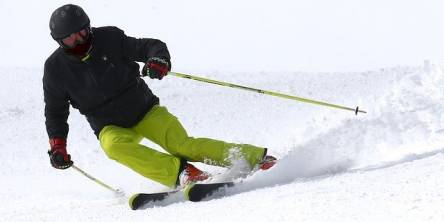 Skier