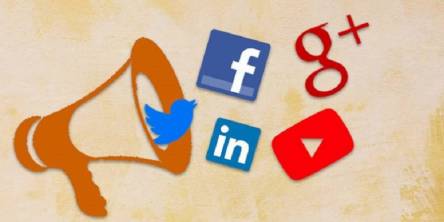 Role of Social Media in Political Campaigns