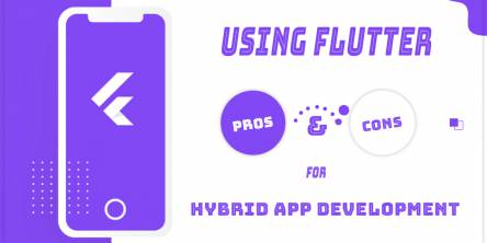 Hybrid App Development