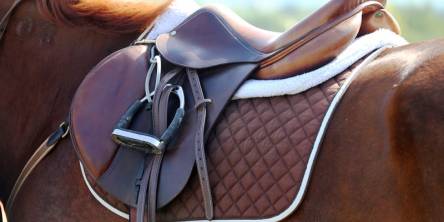 Saddle Pad