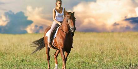 Novice Horse Rider? Experience More Comfort and Safety on your Next Ride