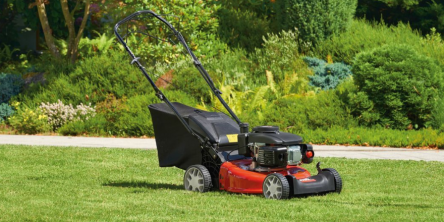 gas-lawn-mower