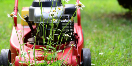 lawn-mower