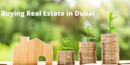 Real Estate in Dubai