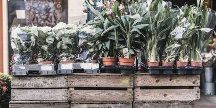 Wooden crates